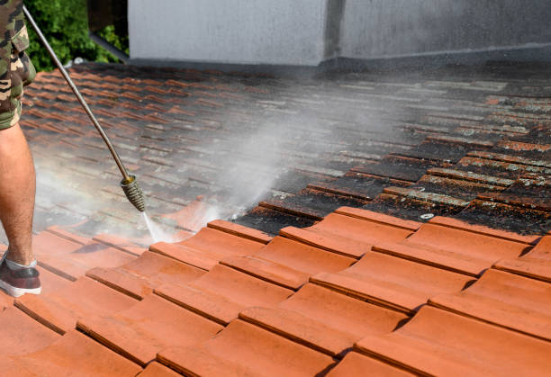 Professional Pressure Washing in Daytona Beach, FL